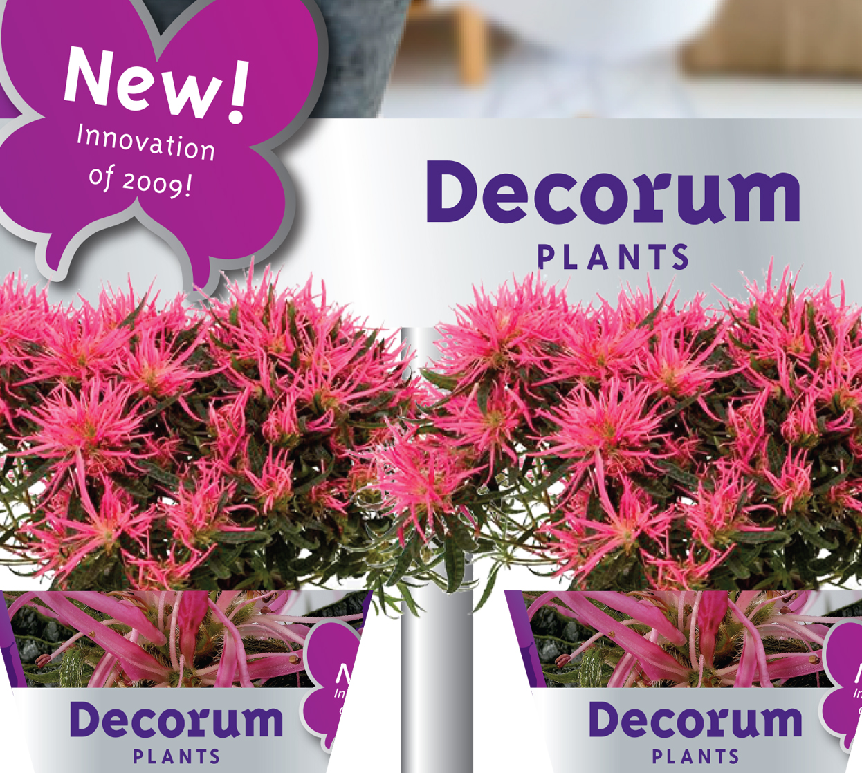 Decorum